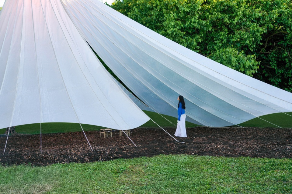 Chinese Paper Umbrella by mad