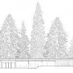 森林泳池，捷克 / Mjölk architekti + Marie Vondráková