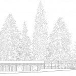 森林泳池，捷克 / Mjölk architekti + Marie Vondráková