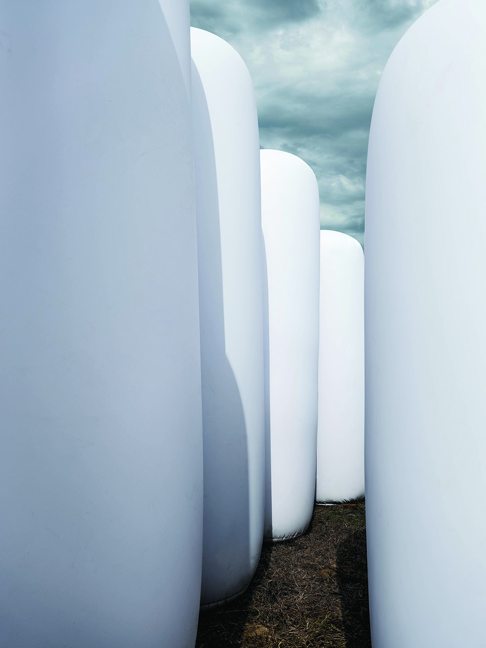 dancing stone forest by wag architects