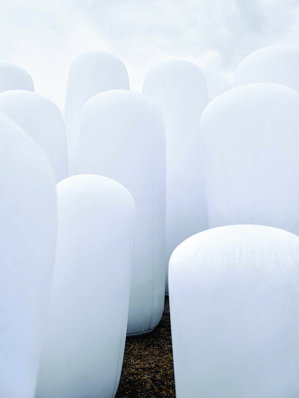 dancing stone forest by wag architects