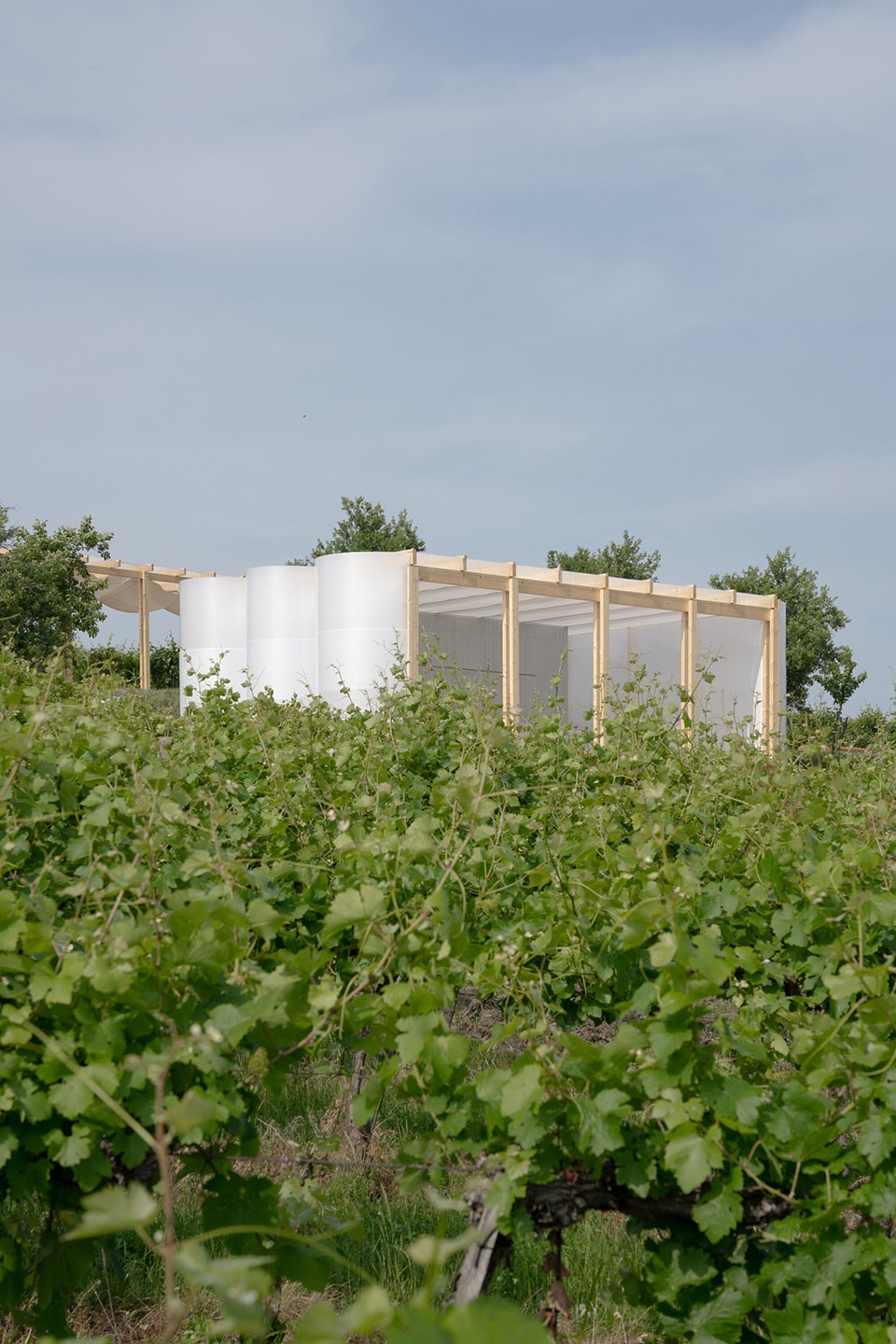the zeny vino funk zvf festival by jakub kolarovic architects