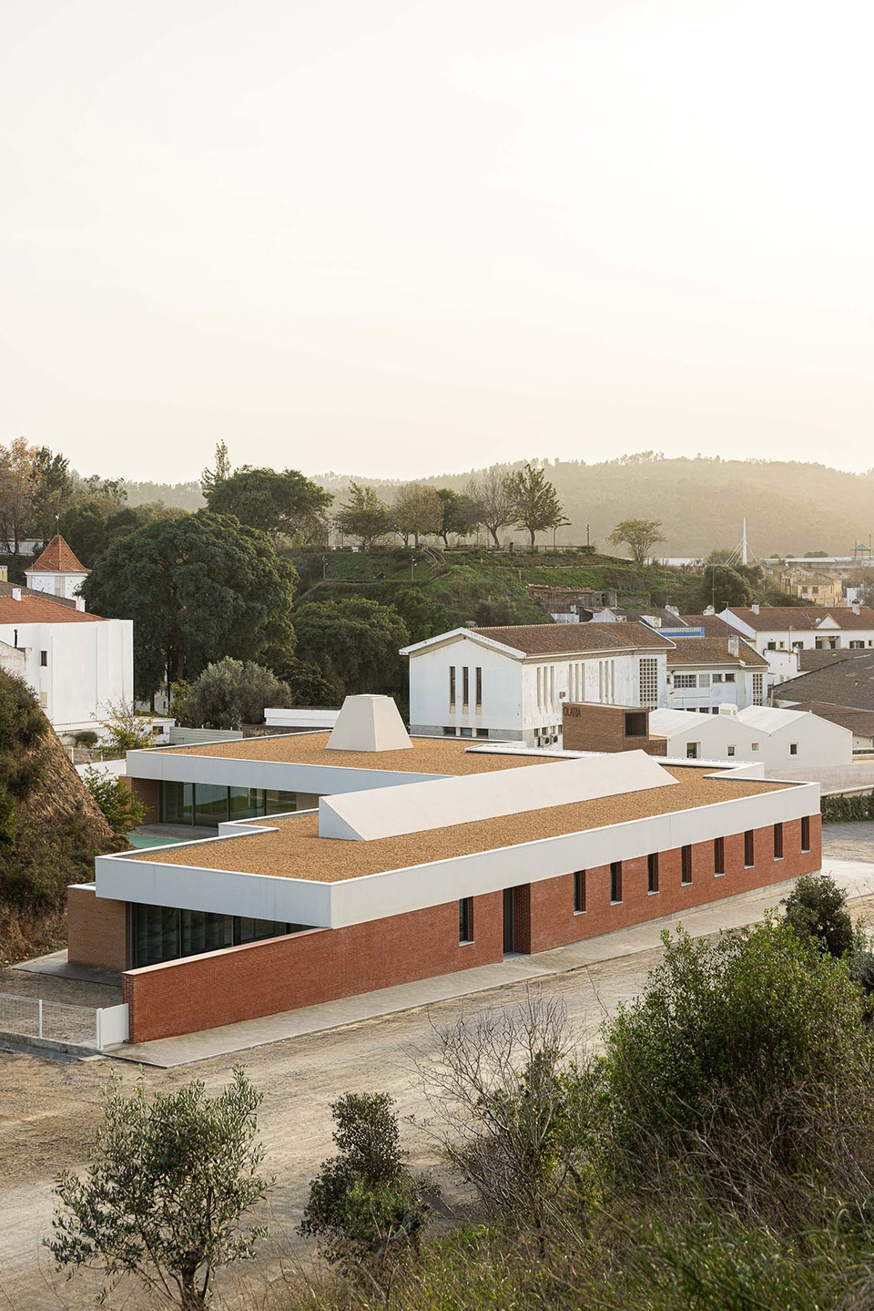 odemira cerebral palsy association by filipe xavier oliveira