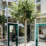Lyco住宅，比利时 / OYO Architects
