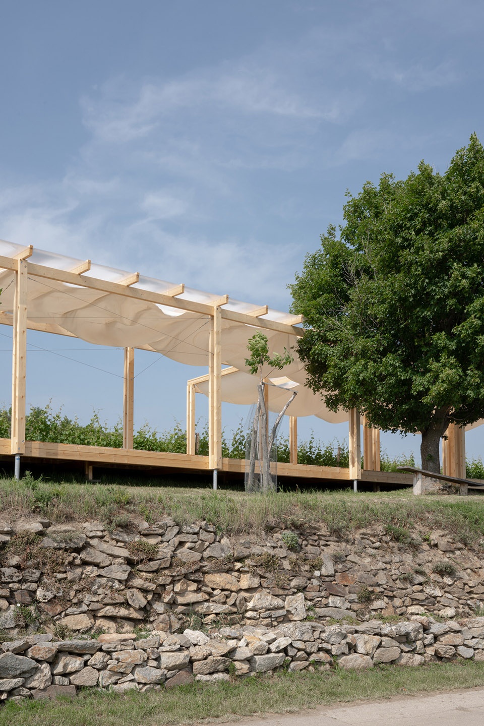 the zeny vino funk zvf festival by jakub kolarovic architects