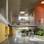 彩虹国际学校，印度 / Spacefiction Studio