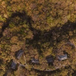 Rio Perdido 西侧小屋，哥斯达黎加 / Studio Saxe