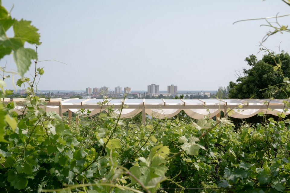 the zeny vino funk zvf festival by jakub kolarovic architects