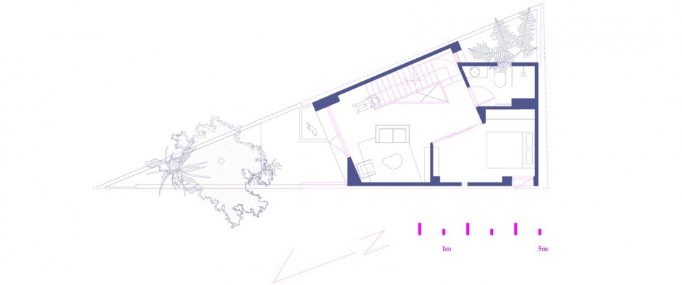 Triangle House