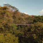 Rio Perdido 西侧小屋，哥斯达黎加 / Studio Saxe