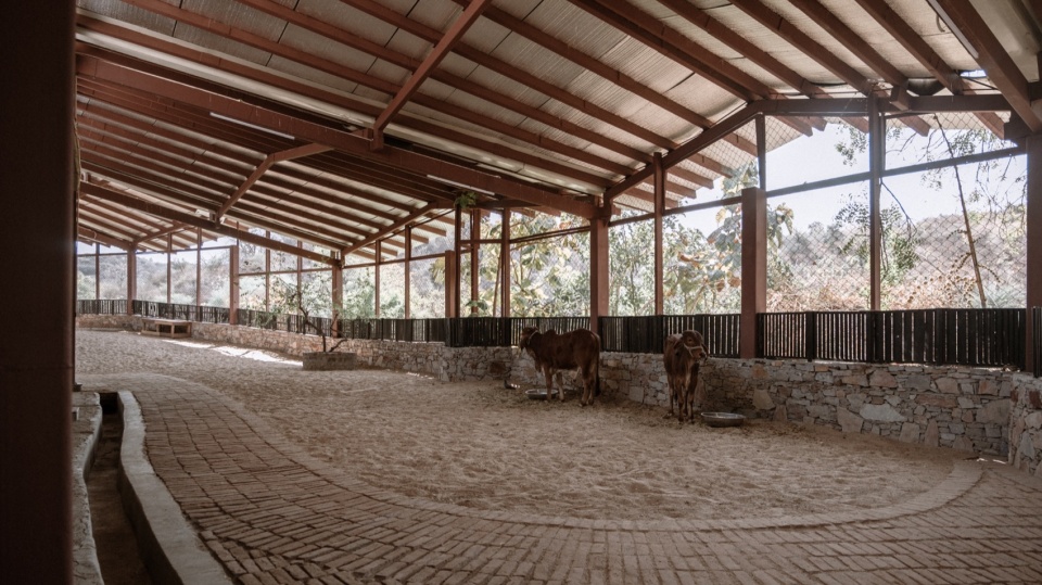 Gaushala by Studio Saar