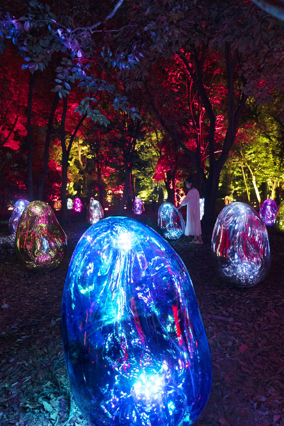 resonating microcosms in the common camellia garden by teamlab