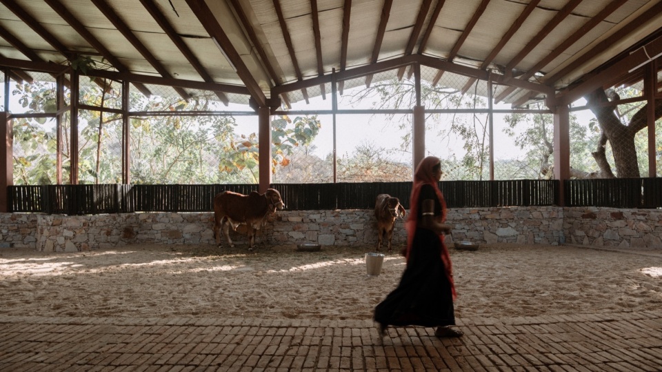 Gaushala by Studio Saar