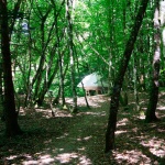 冥想小屋—A “light” paper cage，法国 / 无意义建筑