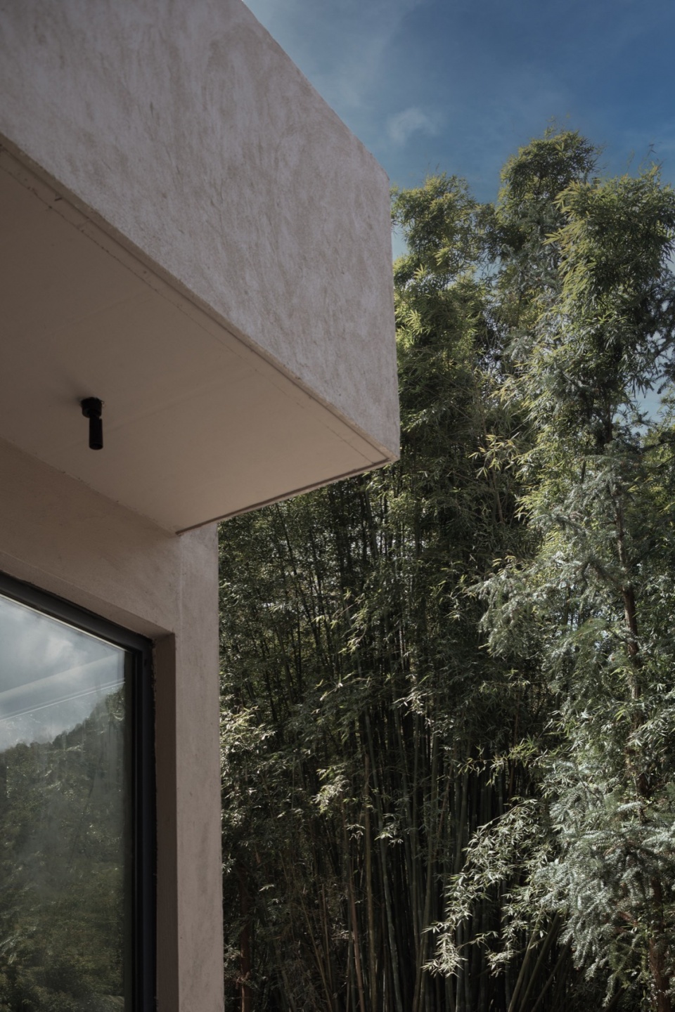 Bamboo dwelling