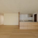 Shōgoin住宅，京都 / Koyori Architects