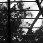 冥想小屋—A “light” paper cage，法国 / 无意义建筑