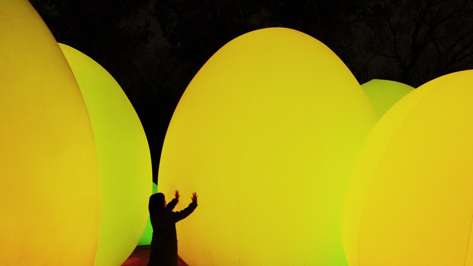 forest of autonomous resonating life by teamlab