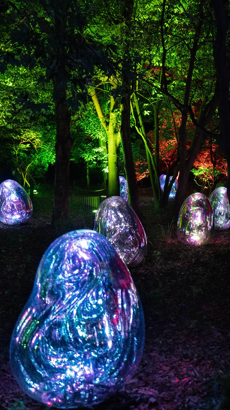 resonating microcosms in the common camellia garden by teamlab