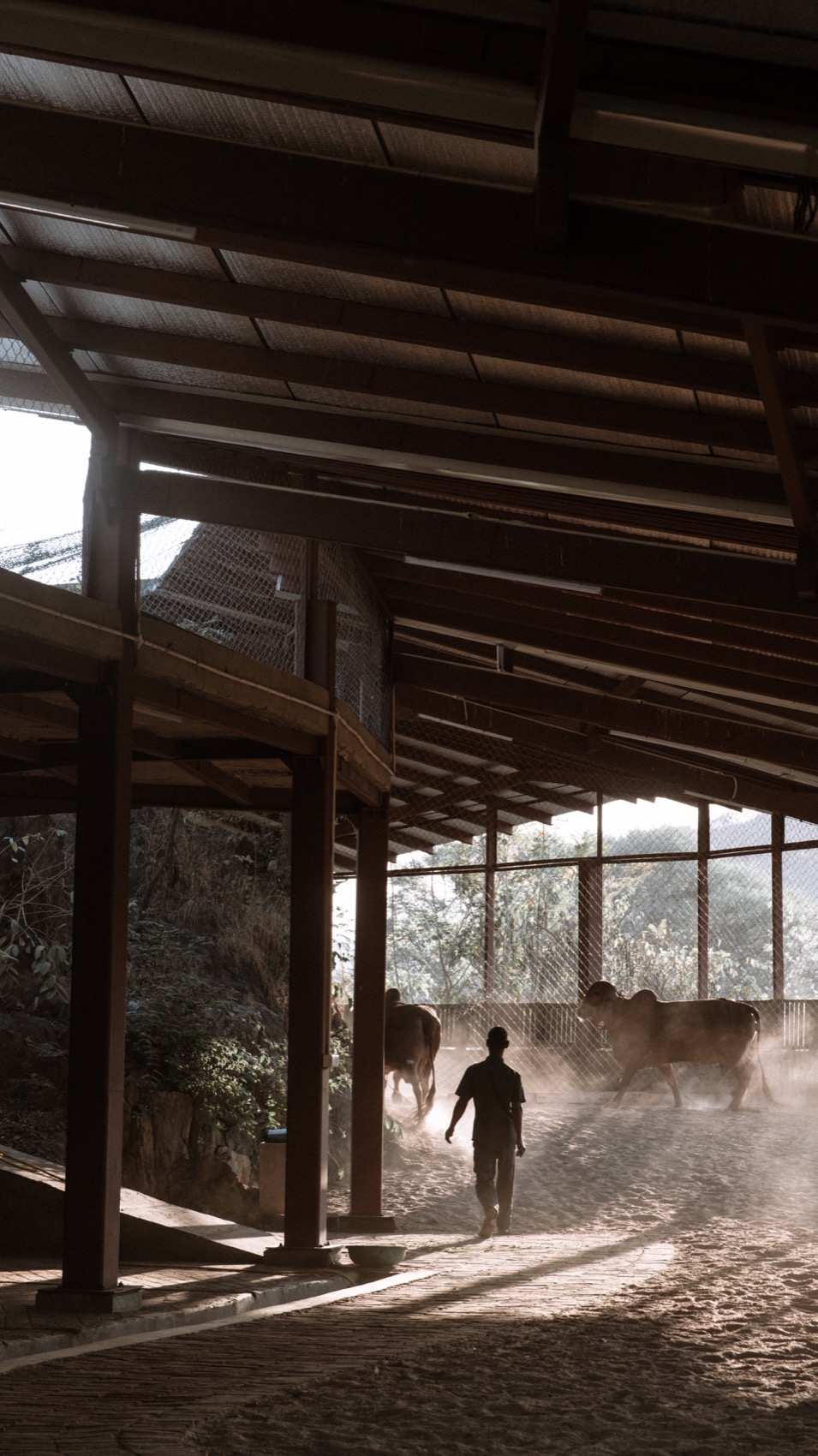 Gaushala by Studio Saar