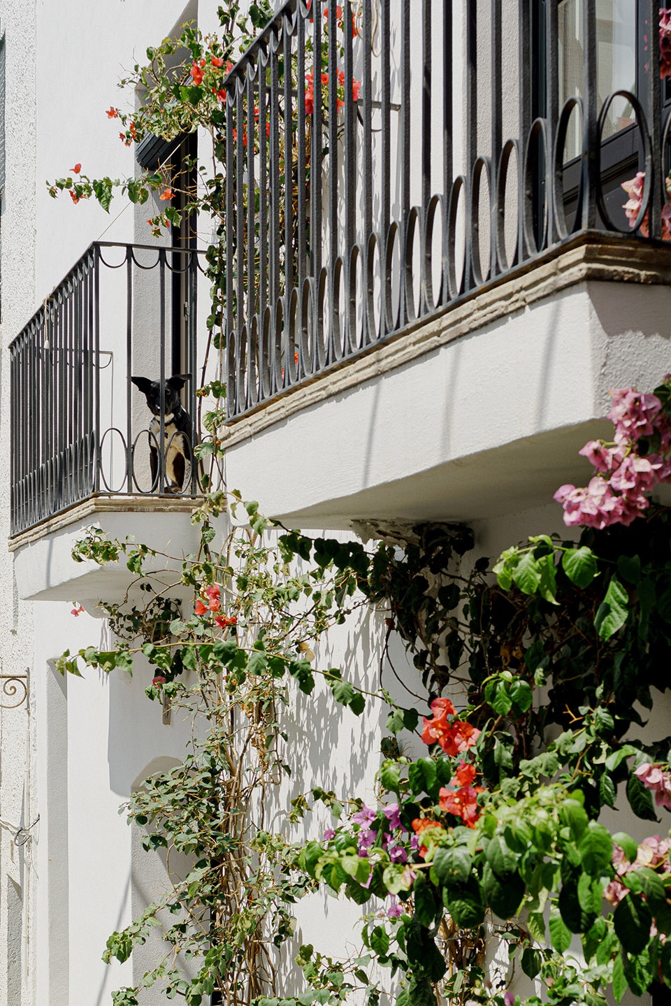 fishermans house in cadaques by bea portabella jordi pages