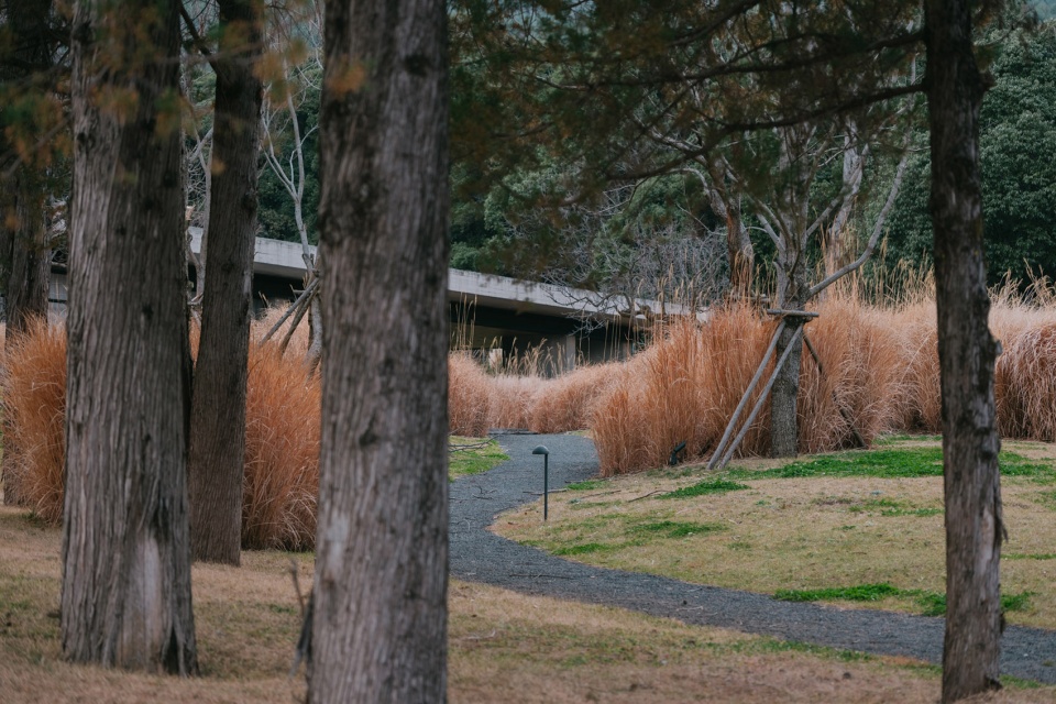 hylla wulu garden by zscape