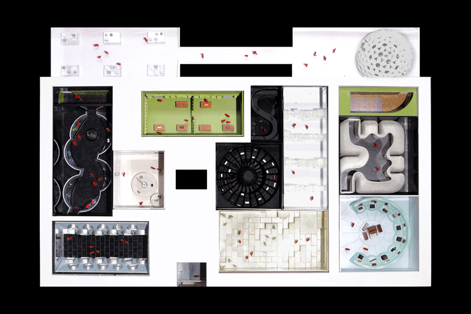 louis vuitton visionary journeys by oma