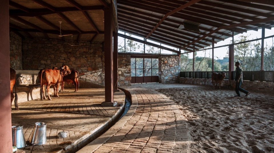Gaushala by Studio Saar