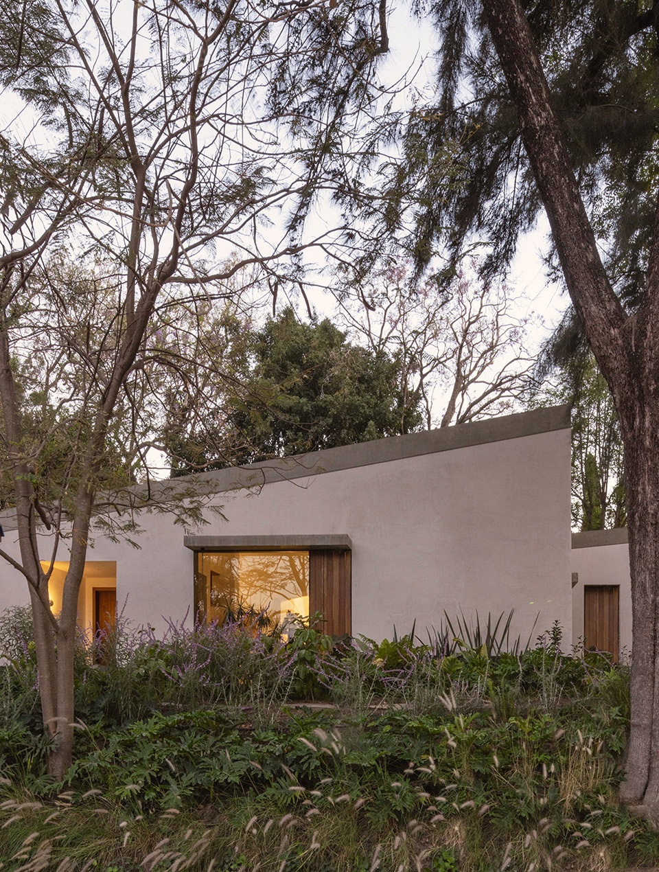 malvas 59 by estudio radillo alba