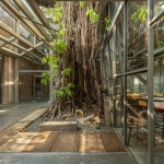 Ballard园区制冰厂改造，印度 / Malik Architecture
