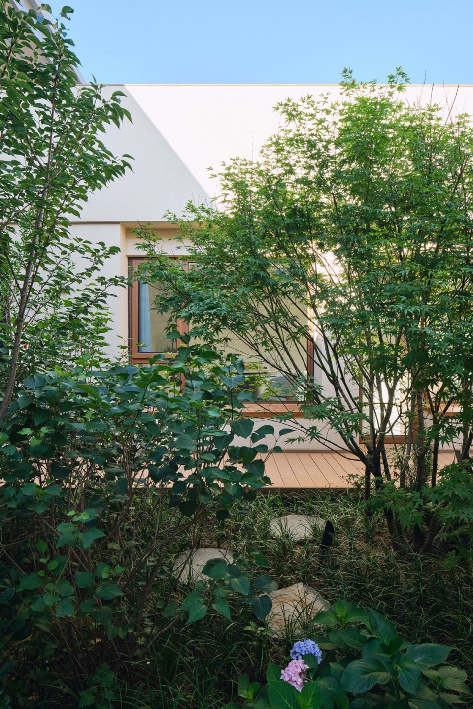 Chill House by STEPS Architecture