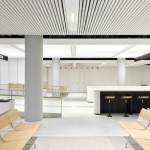 欧洲之星英国专线枢纽站，阿姆斯特丹 / ZJA Architects & Engineers + 叠术建筑
