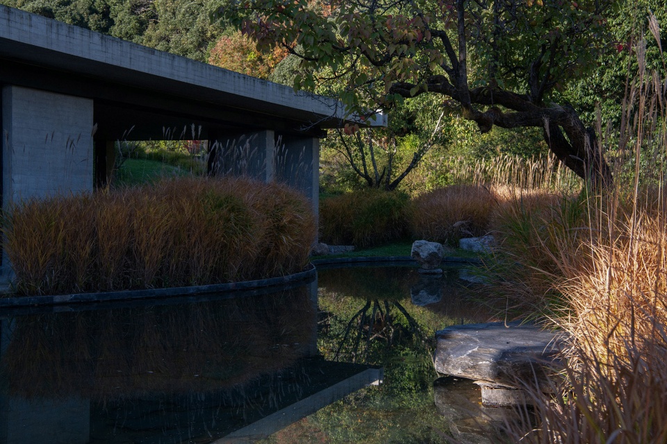 hylla wulu garden by zscape