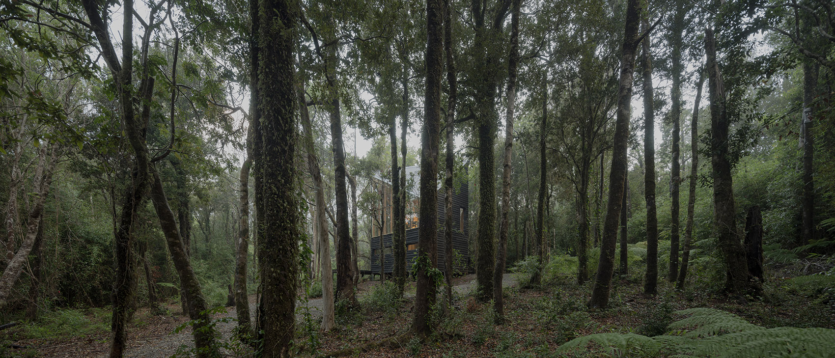 01 Refugio Calfuco Tomas De Iruarrizaga ©Federico Cairoli