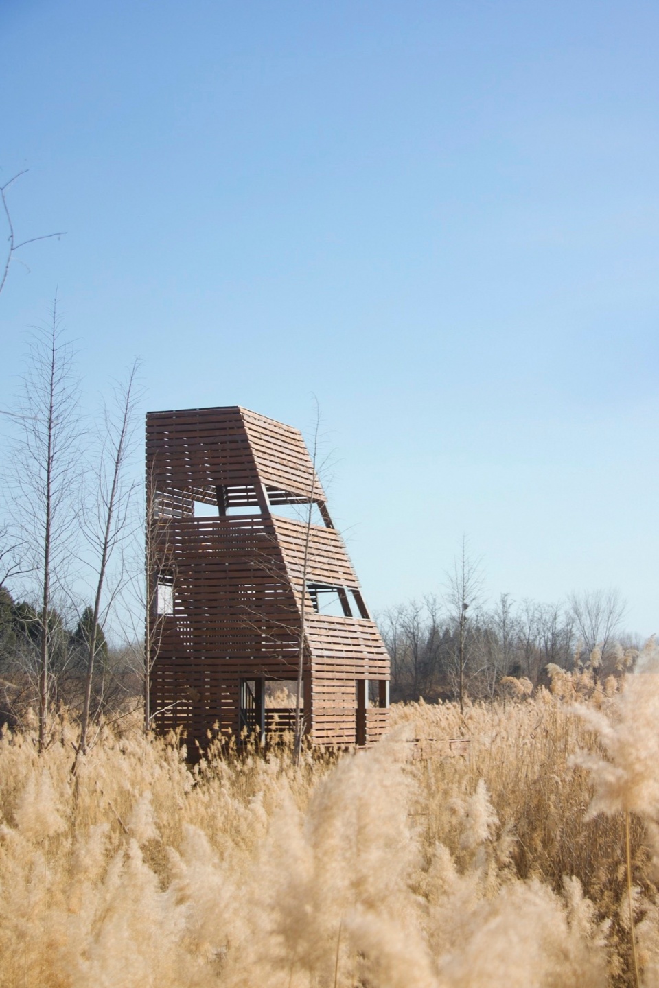 Reed Pavilion Bird watching Tower Park service building series in Xingxiang Ecological Park by Atelier Folie Duan Wei Studio Shanghai Lin...