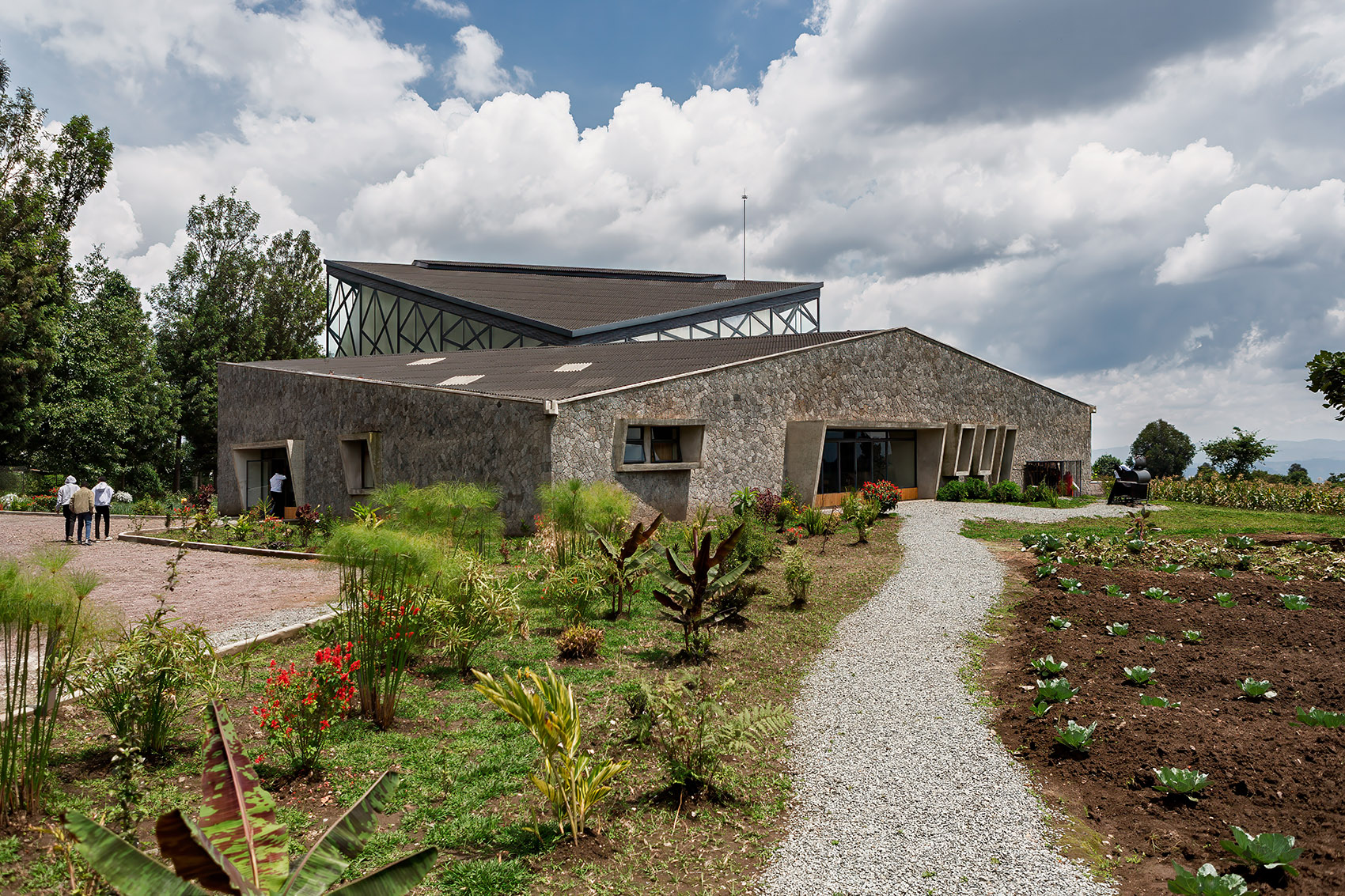Virunga Mountain Spirits by BE Design svg