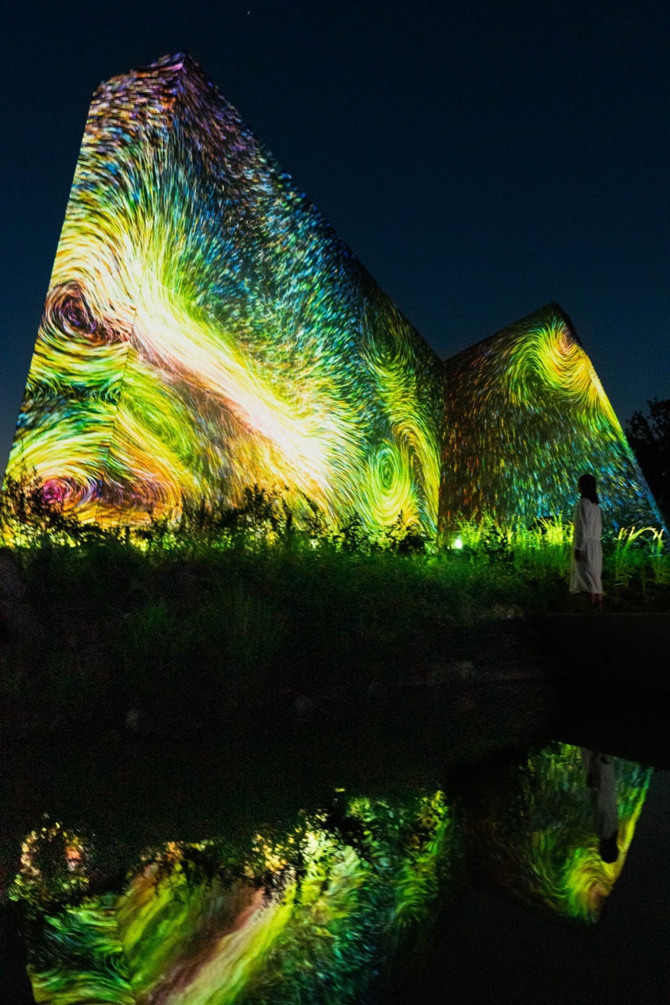 Sculptures of Dissipative Birds in the Wind by teamLab