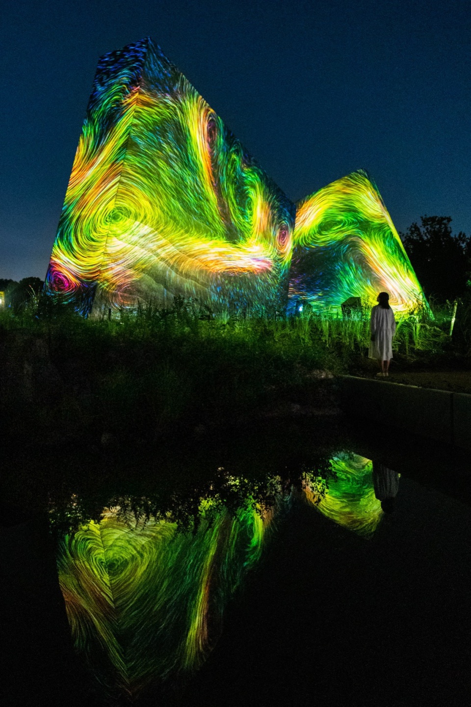 Sculptures of Dissipative Birds in the Wind by teamLab