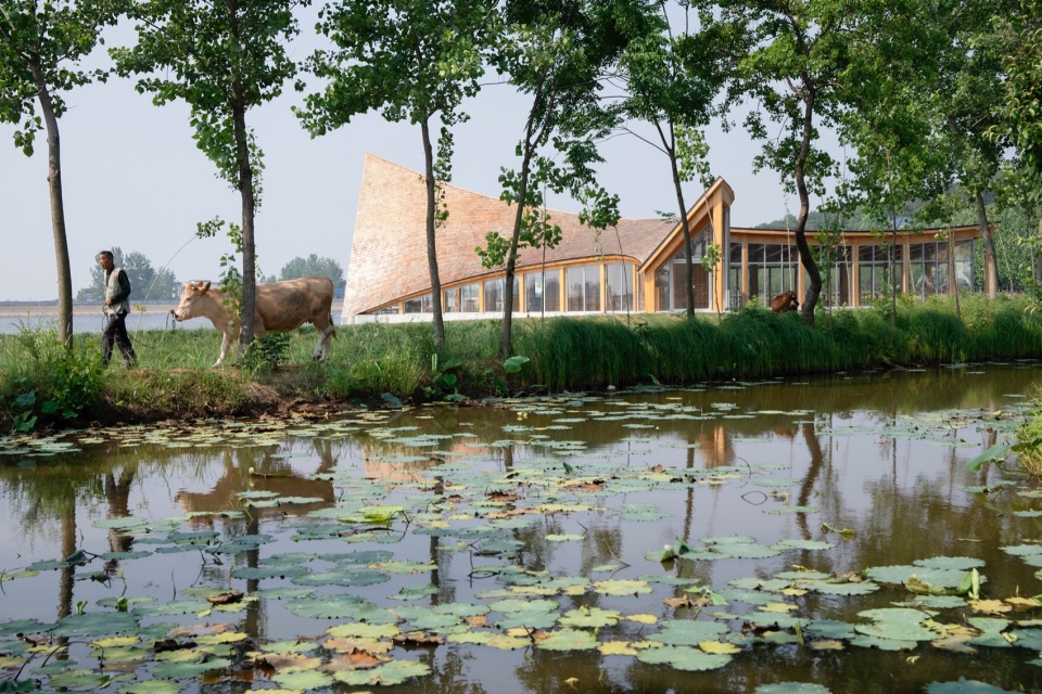 The Driftwood Village Center Xinyang by Primary Architects
