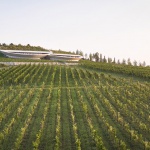 Sauska Tokaj酿酒厂，匈牙利 / BORD Architectural Studio