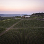 Sauska Tokaj酿酒厂，匈牙利 / BORD Architectural Studio