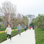 悦清公园，深圳 / 中国建筑西南设计研究院有限公司