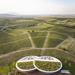 Sauska Tokaj酿酒厂，匈牙利 / BORD Architectural Studio