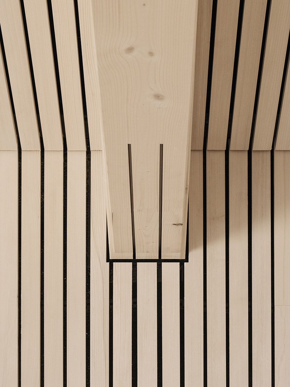 community center langen bei bregenz by mwarchitekten