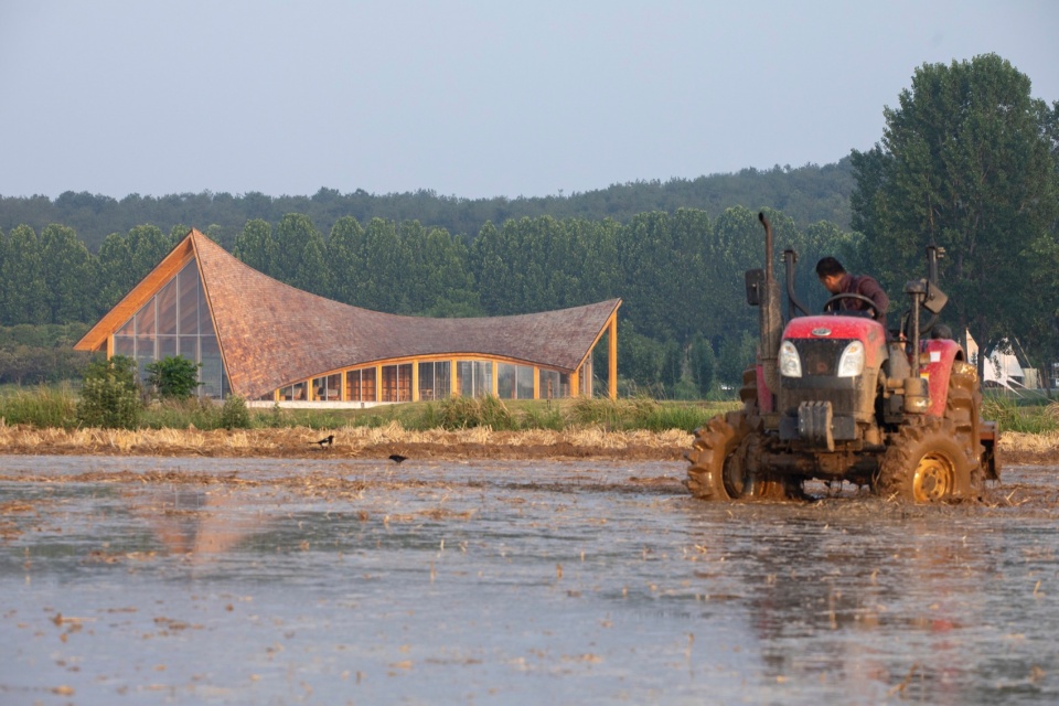 The Driftwood Village Center Xinyang by Primary Architects