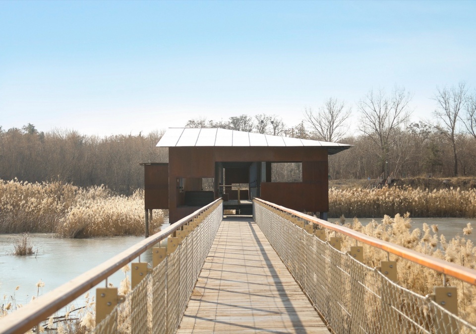 Reed Pavilion Bird watching Tower Park service building series in Xingxiang Ecological Park by Atelier Folie Duan Wei Studio Shanghai Lin...