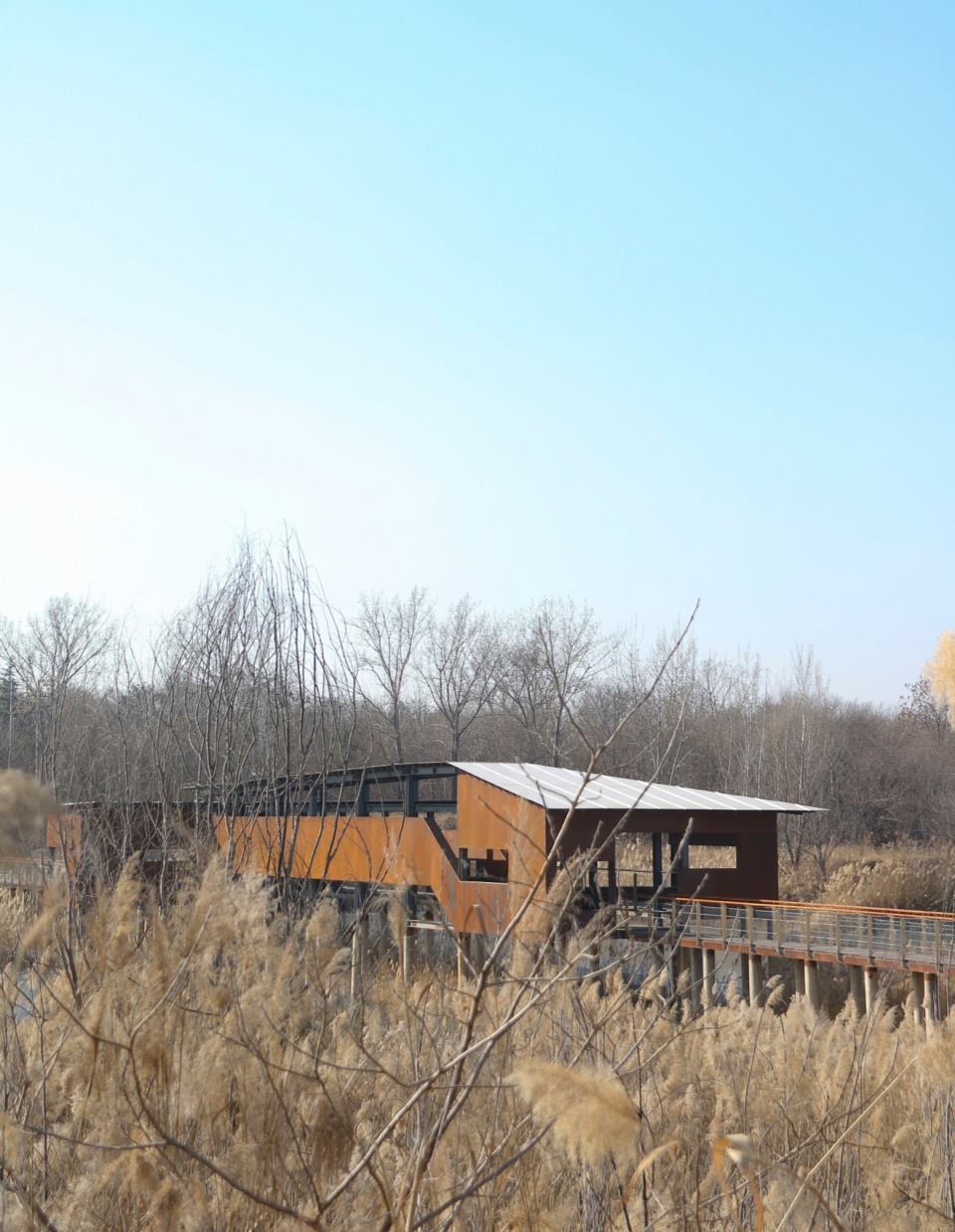 Reed Pavilion Bird watching Tower Park service building series in Xingxiang Ecological Park by Atelier Folie Duan Wei Studio Shanghai Lin...