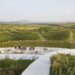 Sauska Tokaj酿酒厂，匈牙利 / BORD Architectural Studio
