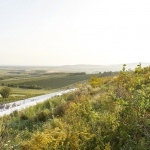 Sauska Tokaj酿酒厂，匈牙利 / BORD Architectural Studio