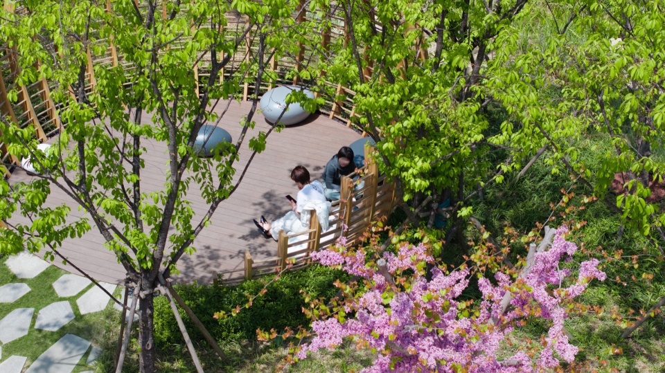 Landscape design of Alibaba Xixi Campus Park C by ASPECT Studios